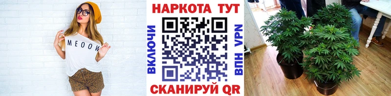 Купить закладку COCAIN  Мефедрон  Псилоцибиновые грибы  ГАШ  Альфа ПВП  Кизилюрт