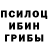 Псилоцибиновые грибы Psilocybe gpet72