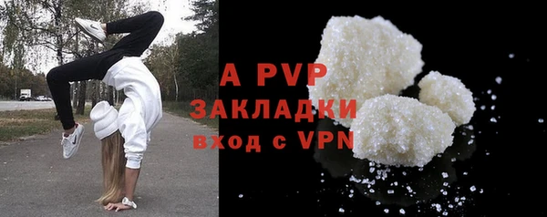 шишки Верхний Тагил