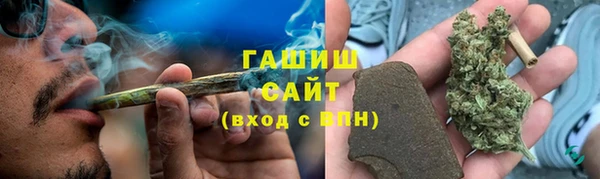 шишки Верхний Тагил