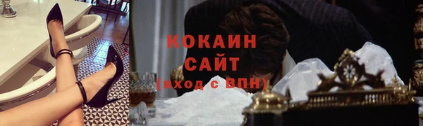 шишки Верхний Тагил