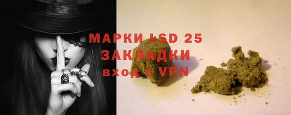 шишки Верхний Тагил