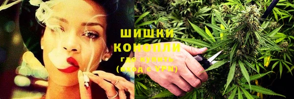 шишки Верхний Тагил