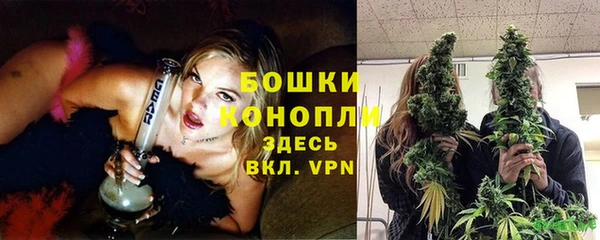 шишки Верхний Тагил